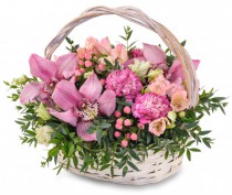 Basket 